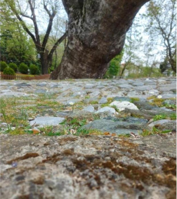 Fbm Anagenessis - Ευ Ζην Edessa Exterior foto